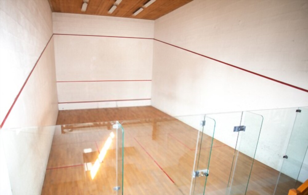 Squash Court Dimensions