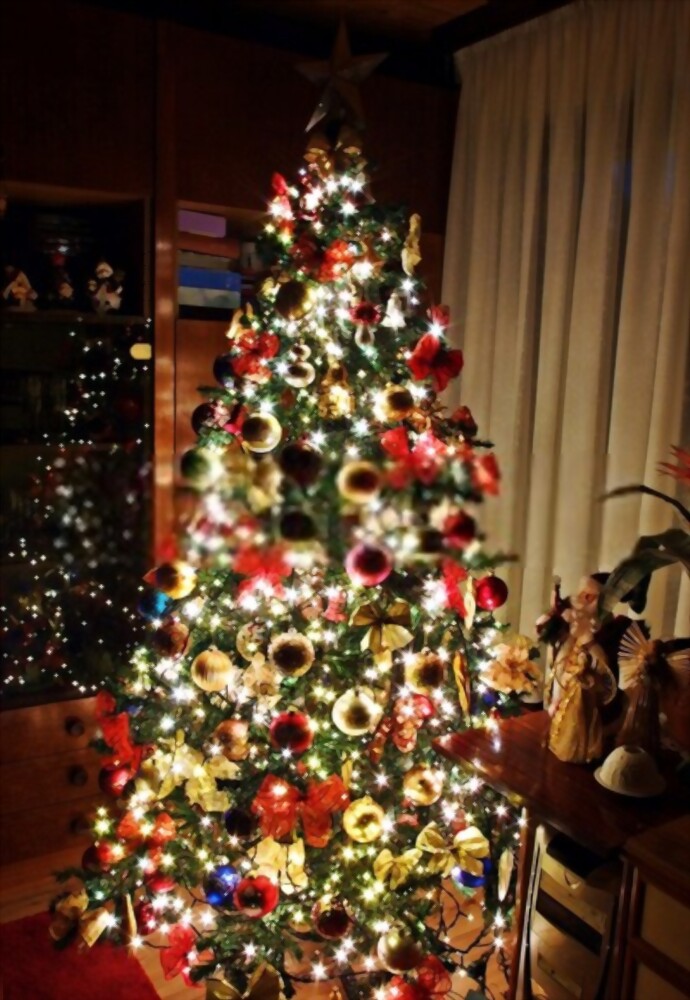 Medium-Sized Christmas Tree