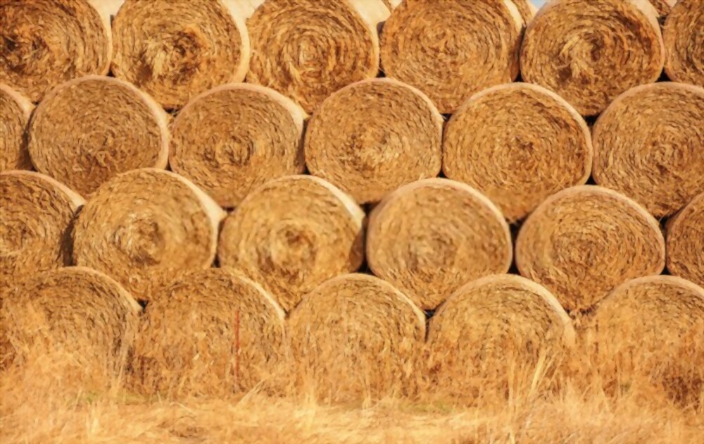 How Many Bales of Hay in a Ton
