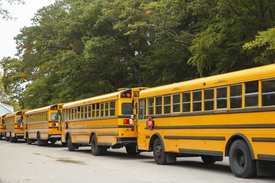 11 School Buses